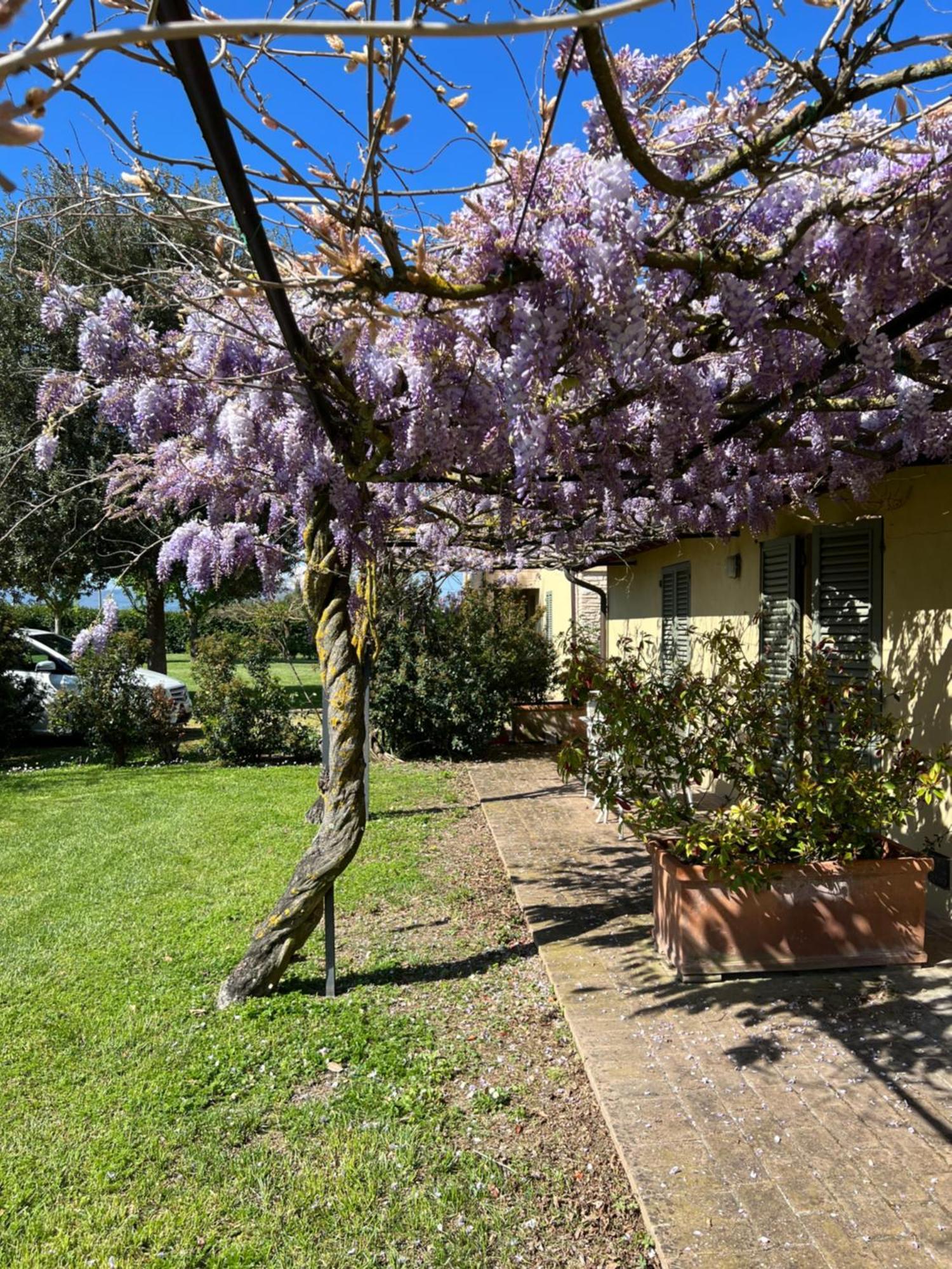 Hostal Residenza Isabella Spello Exterior foto