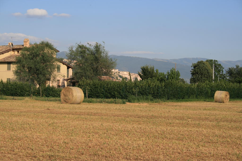Hostal Residenza Isabella Spello Exterior foto